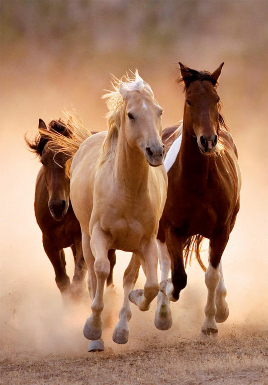 Puzzle Caballos Corriendo 1000 piezas Clementoni