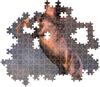 Montaje parcial del Puzzle Caballo Rojo Salvaje 500 piezas Clementoni, con piezas encajadas mostrando al caballo rojizo encabritado entre polvo y piezas sueltas alrededor.