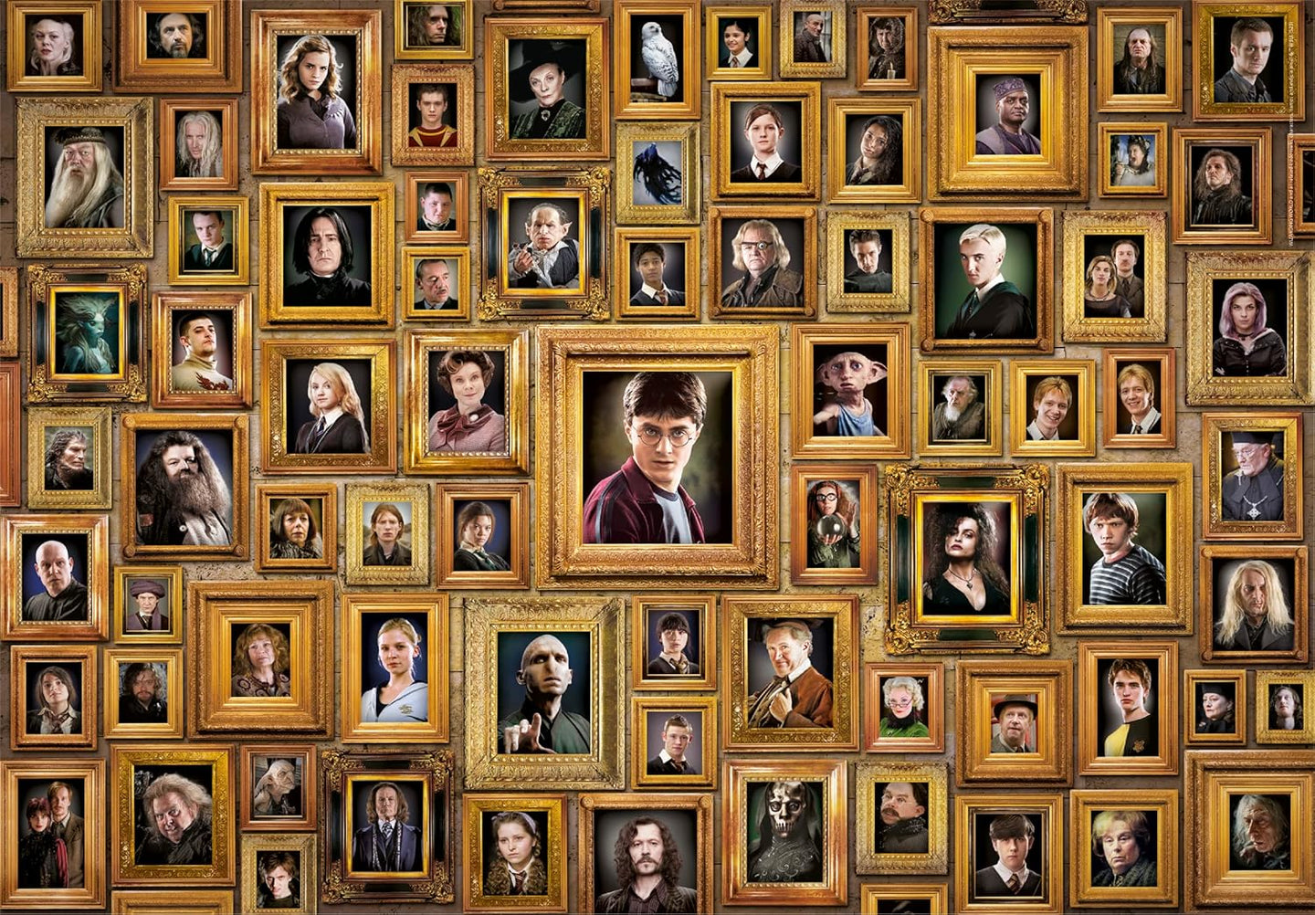 Ilustración del Puzzle Harry Potter Retratos 1000 piezas Clementoni. Pared cubierta de marcos dorados con retratos de los personajes de la saga, con Harry Potter en el marco central.